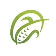 Surya Grain Logo